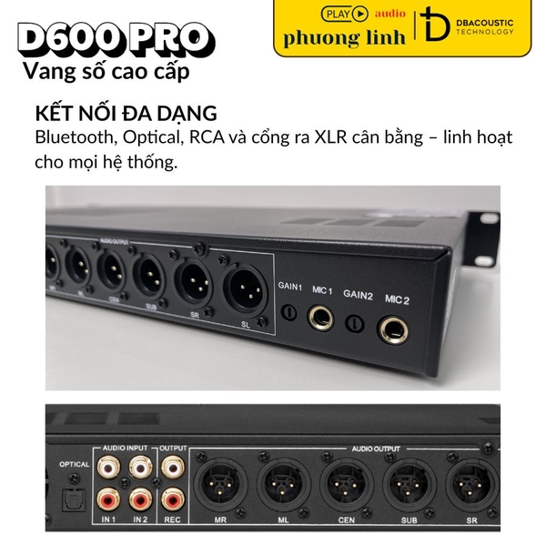 Cổng kết nối phía sau vang số D600 PRO