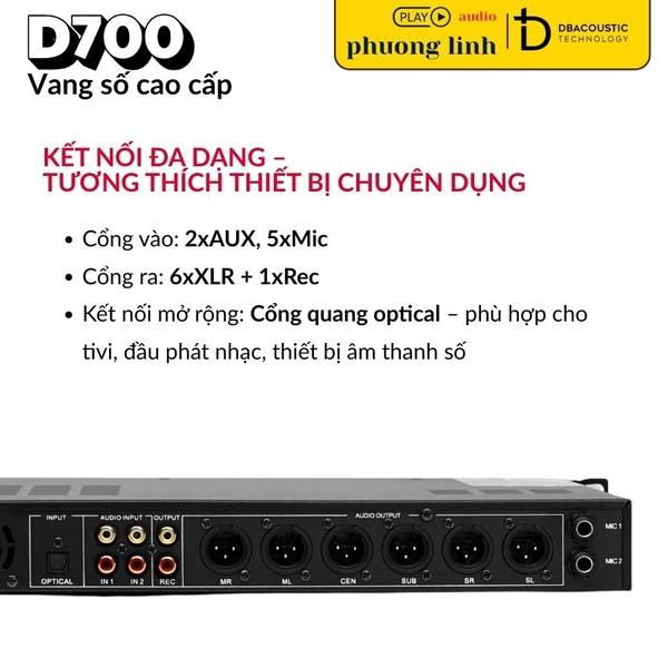 Vang số DBacoustic D700
