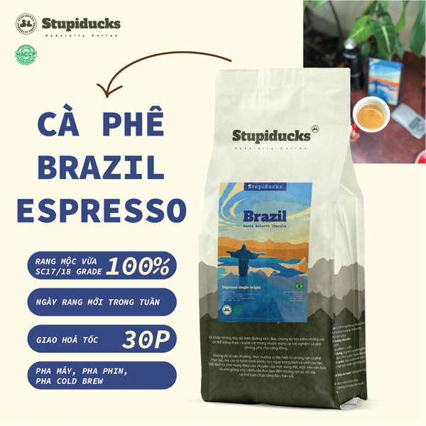 Brazil Santo Antonio Chocola - Stupiducks Specialty Coffee (SSC Roaster)