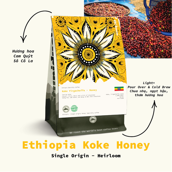 Ethiopia Koke Yirgacheffe Honey G1 - Stupiducks Specialty Coffee ( SSC Roaster)