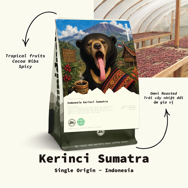Indonesia Sumatra Kerinci Natural — Omni Roast by Stupiducks