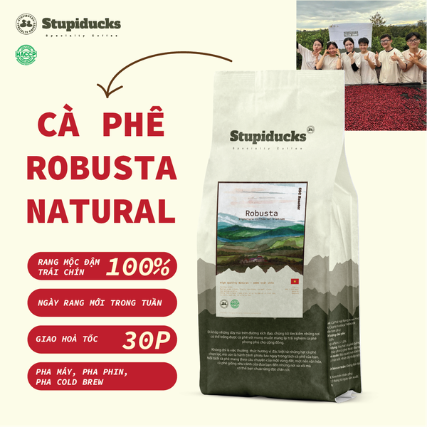 Việt Nam Robusta Chư Păh, Gia Lai Natural Process - Stupiducks Specialty Coffee (SSC)