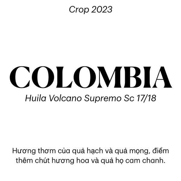 Arabica Colombia Huila Volcano Supremo Sc 17/18 Washed - Stupiducks Specialty Coffee (SSC Roaster)
