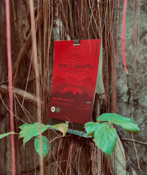 SL28 Kenya Othaya FCS Kiaguthu Factory AA Natural - Stupiducks Specialty Coffee ( SSC Roaster)