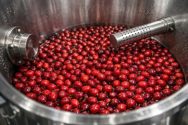 Guji Red Berry Pop - Stupiducks Specialty Coffee ( SSC Roaster)