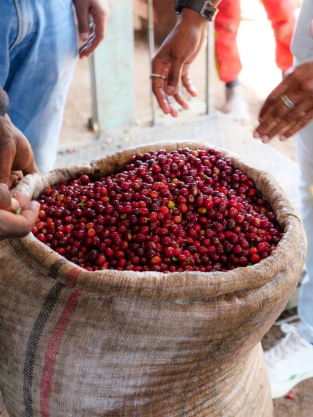 Banko Taratu - Stupiducks Specialty Coffee ( SSC Roaster)