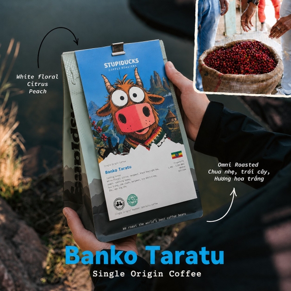 Banko Taratu - Stupiducks Specialty Coffee ( SSC Roaster)