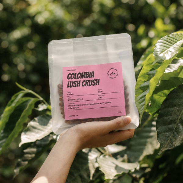 AMAZING Gesha/Sudan Rume/Chiroso Coffee - BEANSLINK Project