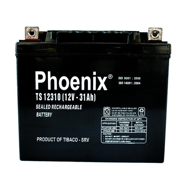 ẮC QUY PHOENIX 12V - 31AH TS12310