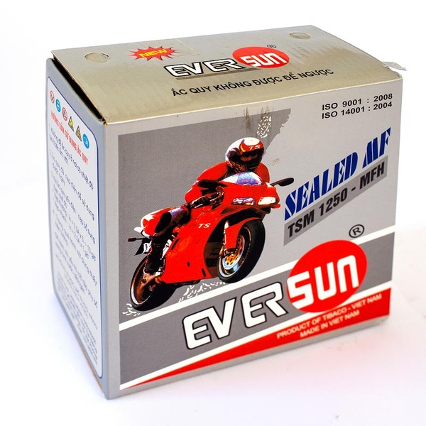 ẮC QUY EVERSUN 12V - 5AH TSM1250MFH