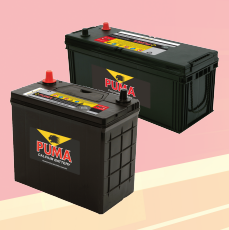 BÌNH ẮC QUY PUMA 12V - 75AH EFB S95 (START-STOP)