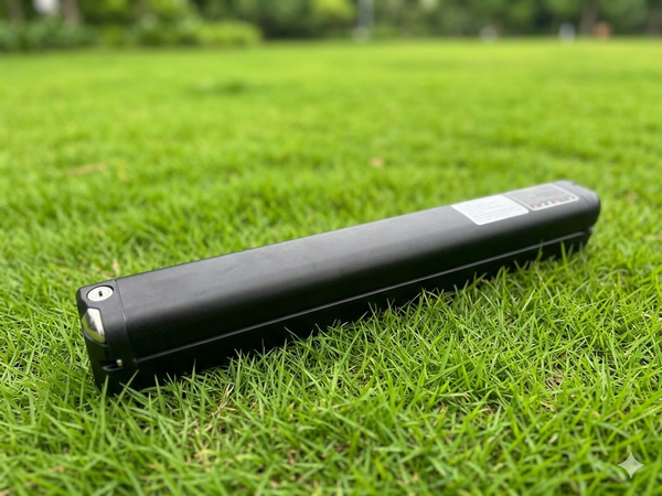 PIN LITHIUM-LFP ĐỨC GIANG 36V - 100AH DGLI-36100