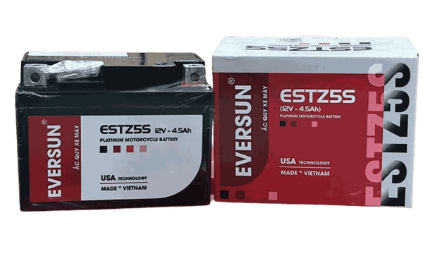 ẮC QUY EVERSUN 12V - 4.5AH TSM1250S