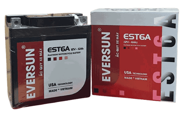 ẮC QUY EVERSUN 12V - 6AH TSM1260H
