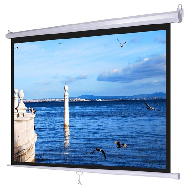 Màn chiếu treo tường DALITE P70WS (70’’ x 70’’) - 100''