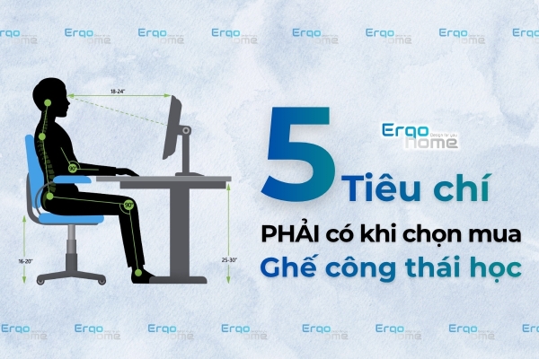 5 Tiêu Chí PHẢI Có Khi Chọn Ghế Công Thái Học Cho Dân Văn Phòng Ngồi 8 Tiếng