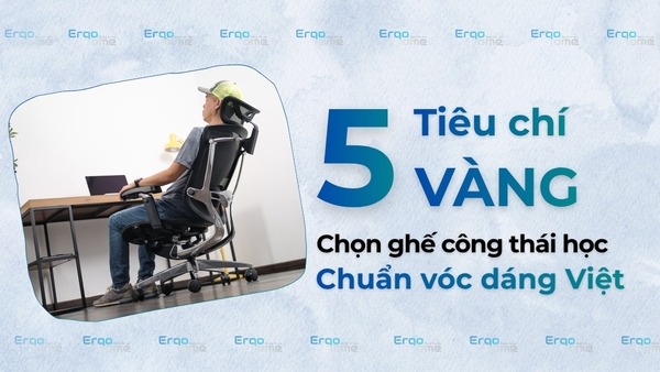 5 Tiêu Chí Vàng Chọn Ghế Công Thái Học Chuẩn Vóc Dáng Người Việt