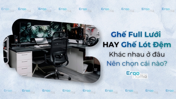 Ghế Full Lưới hay Ghế Lót Đệm - Khác Nhau Ở Đâu và Nên Chọn Cái Nào?