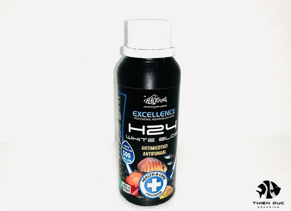 Ngăn Ngừa Bệnh Nấm Thân Cá -  Haquoss H24