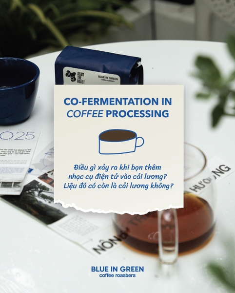 Co-fermentation in Coffee Processing