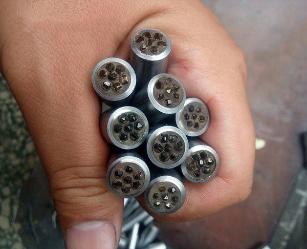 Cây Sửa Đá Mài Đầu 7 Hạt