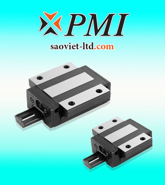 Con Trượt PMI MSB30TE