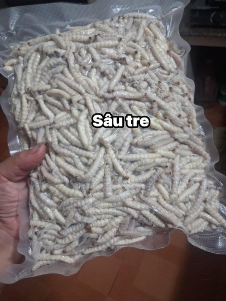 Sâu tre