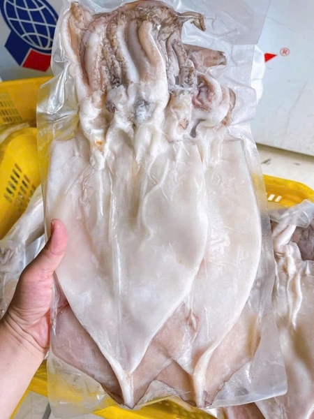 Mực một nắng