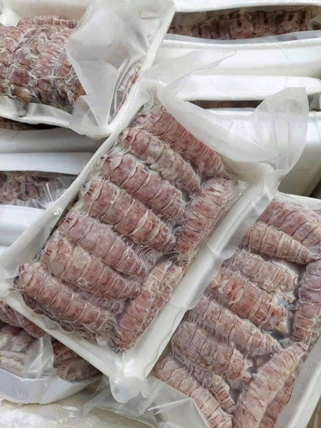 Bề bề