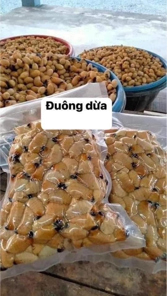 Đuông dừa