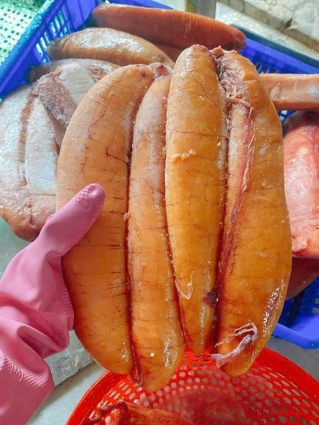 Trứng cá ngừ đại dương