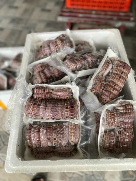 Bề bề