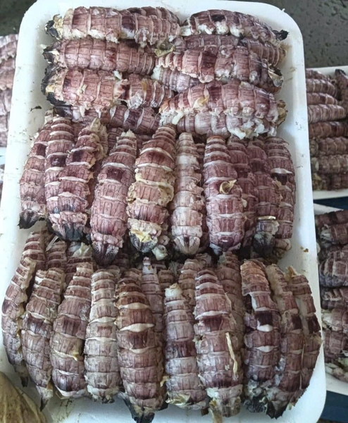 Bề bề