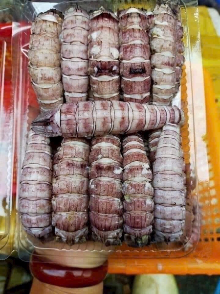 Bề bề