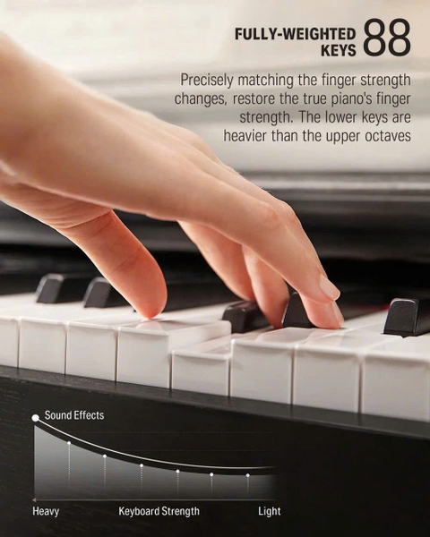 bàn phím piano điện eterna as1500