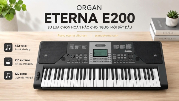 dan organ eterna e200