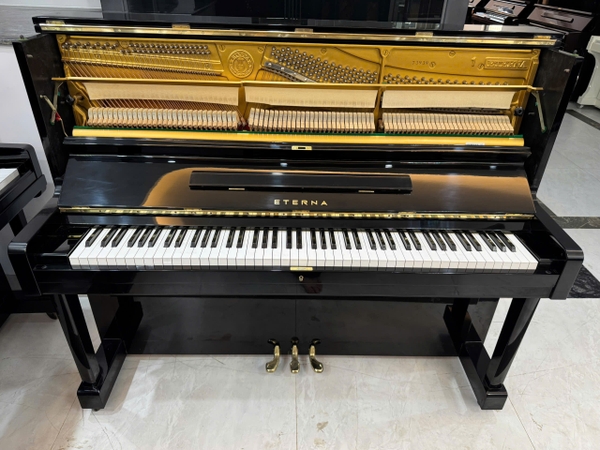 bộ máy đàn piano eterna 1 st music