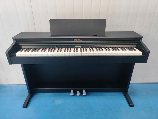 Piano Eterna Việt Nam Tiếp Tục Cập Nhật 50 Chiếc ETERNA AS1200 