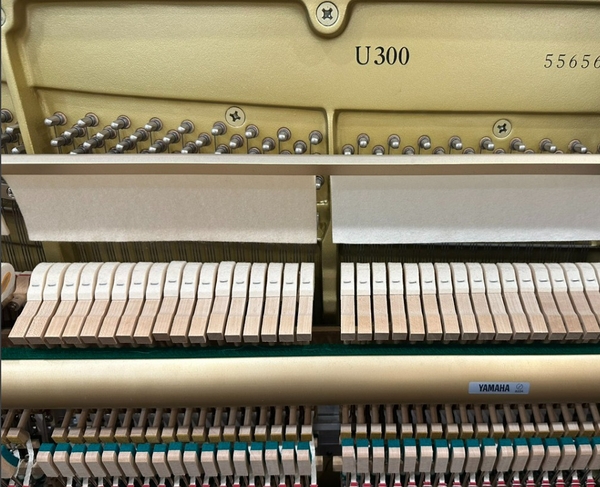 Máy Đàn piano Yamaha U300