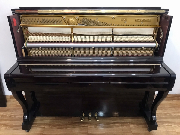 Piano cơ RosenKranz RK20