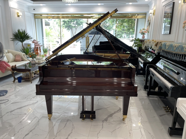 Grand Piano Eastein