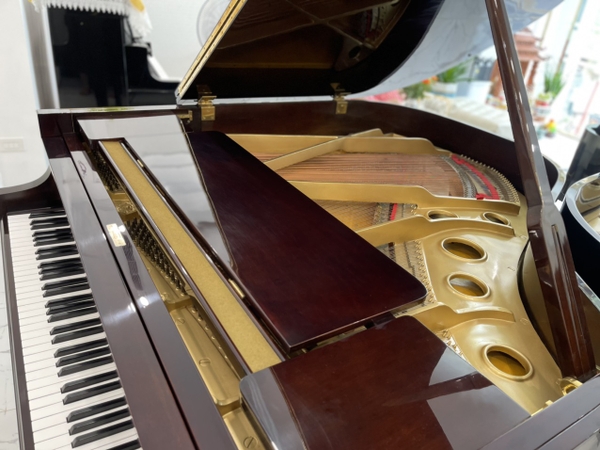 Grand Piano Eastein