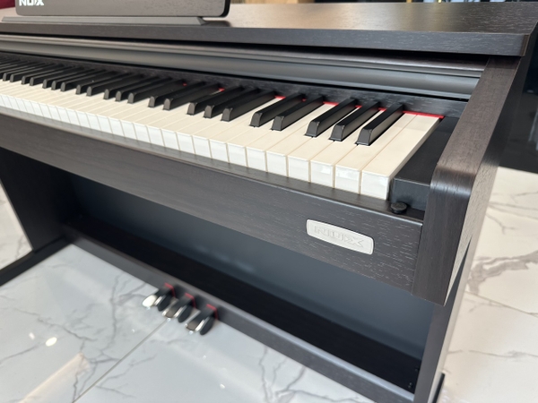 Đàn Piano điện WK-400