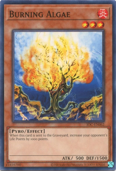 Burning Algae - IOC-EN062 - Common Unlimited (25th Reprint)