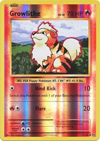 Growlithe - 17/108 - Common Reverse Holo