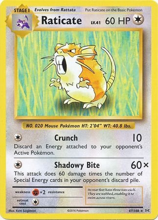 Raticate - 67/108 - Rare