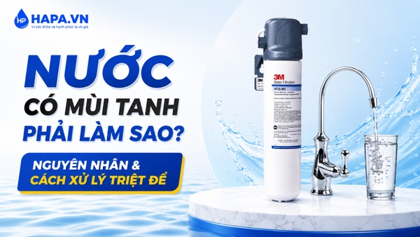 Nước Có Mùi Tanh Phải Làm Sao? Nguyên Nhân & Cách Xử Lý Triệt Để
