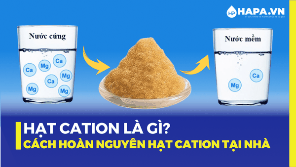 Hạt cation là gì? Hướng dẫn hoàn nguyên hạt cation an toàn và hiệu quả tại nhà