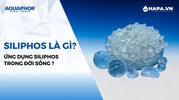 Siliphos là gì? Nó được ứng dụng trong đời sống như thế nào?