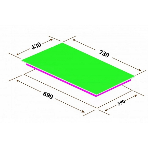 Bếp Từ Canzy CZ TL869D